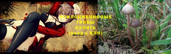 МДМА Нефтегорск