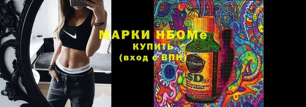 шишки Заводоуковск