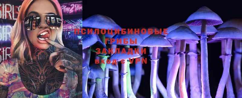 Галлюциногенные грибы MAGIC MUSHROOMS  где найти   Благодарный 